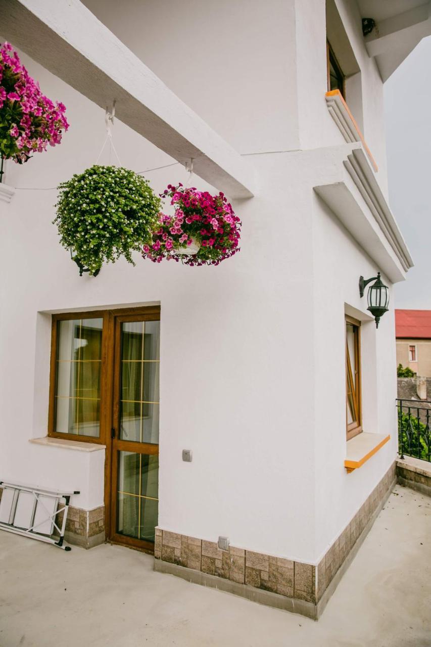 Pensiunea Vila Europa Deva Exterior foto